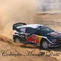 Rally de Portugal 2018  (253).JPG